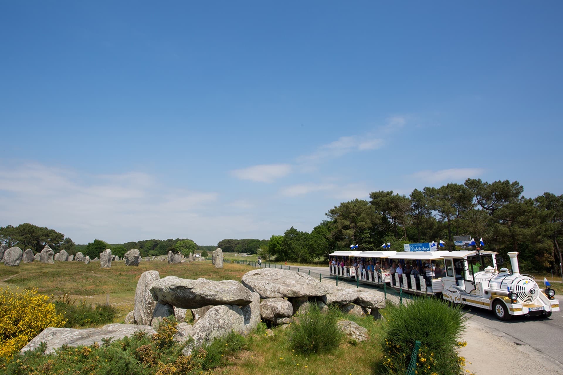 Alignements de menhirs à Carnac